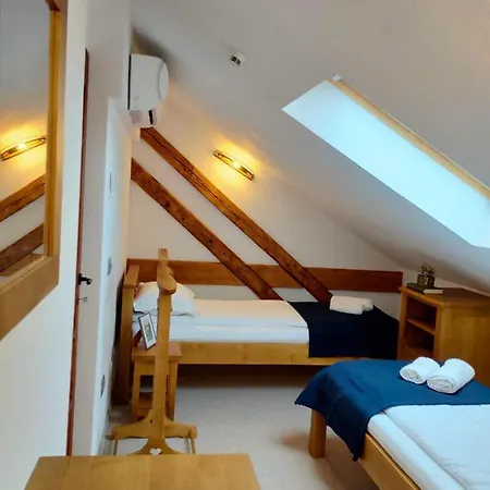 Guest house Casa David Ferenc Haz Deva