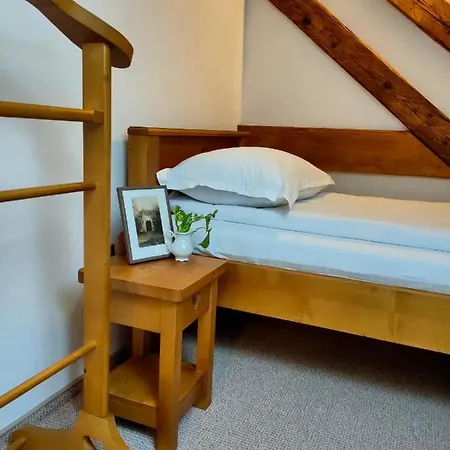 Casa David Ferenc Haz Guest house
