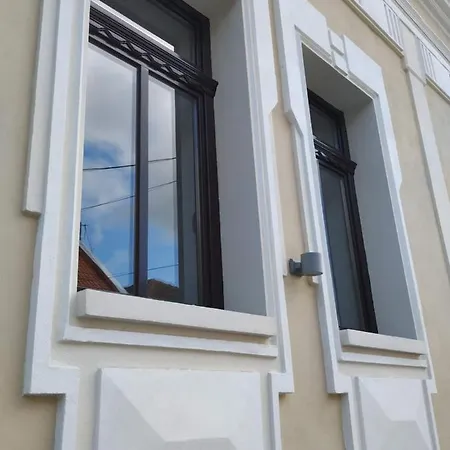 Casa David Ferenc Haz Guest house *