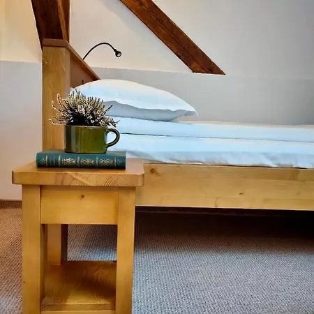 Guest house Casa David Ferenc Haz