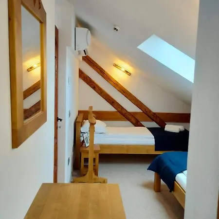 Casa David Ferenc Haz Guest house *