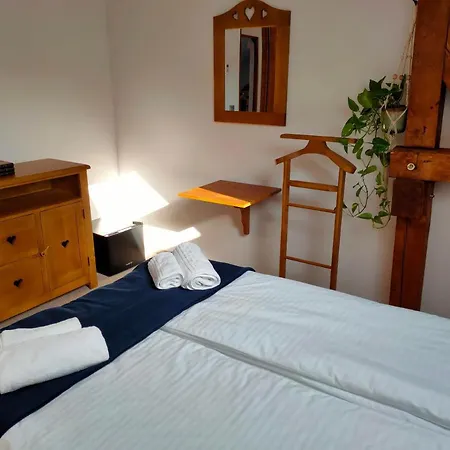 Guest house Casa David Ferenc Haz *