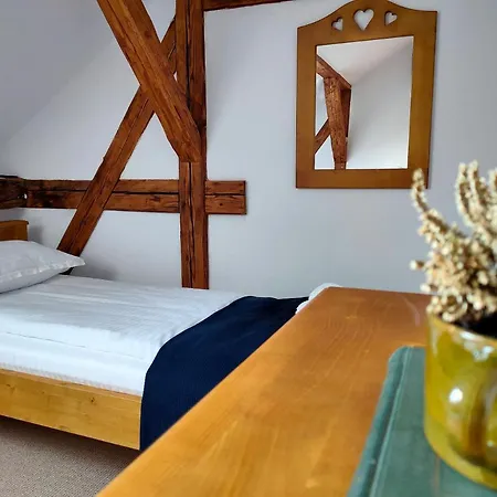 Guest house Casa David Ferenc Haz Deva